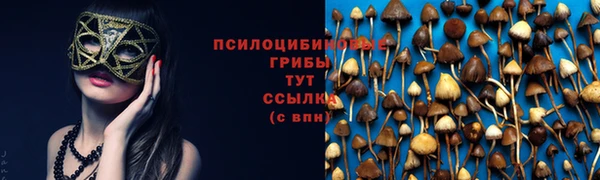 эйфоретик Богородицк