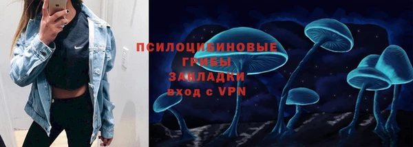 марки nbome Белокуриха