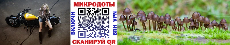 мега онион  Горняк  Галлюциногенные грибы GOLDEN TEACHER 